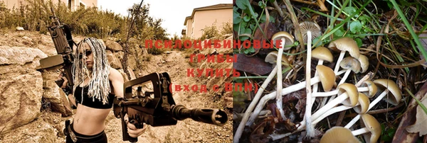 mdpv Белокуриха