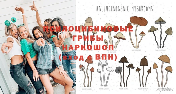 2c-b Беломорск