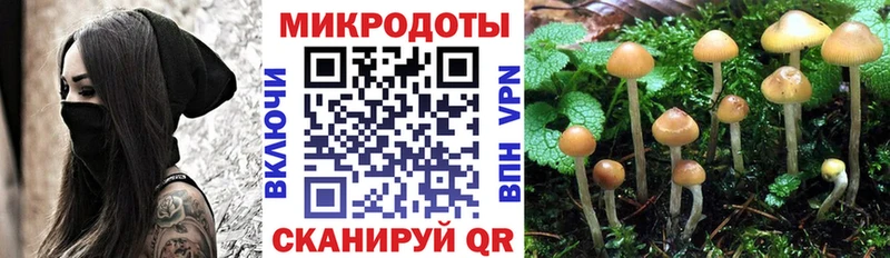 Галлюциногенные грибы прущие грибы  Дальнегорск 