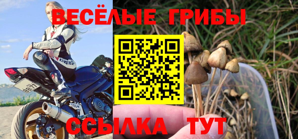 хочу наркоту  Галлюциногенные грибы ЛСД  Вход с VPN  Дальнегорск  Галлюциногенные грибы Magic Shrooms 