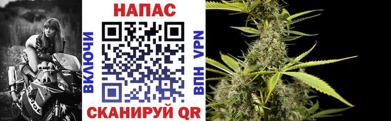 Бошки марихуана семена  где найти   Дальнегорск 